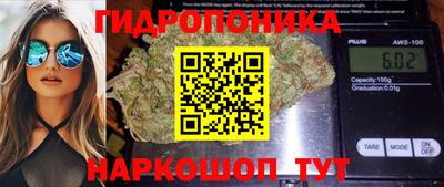 2c-b Канаш
