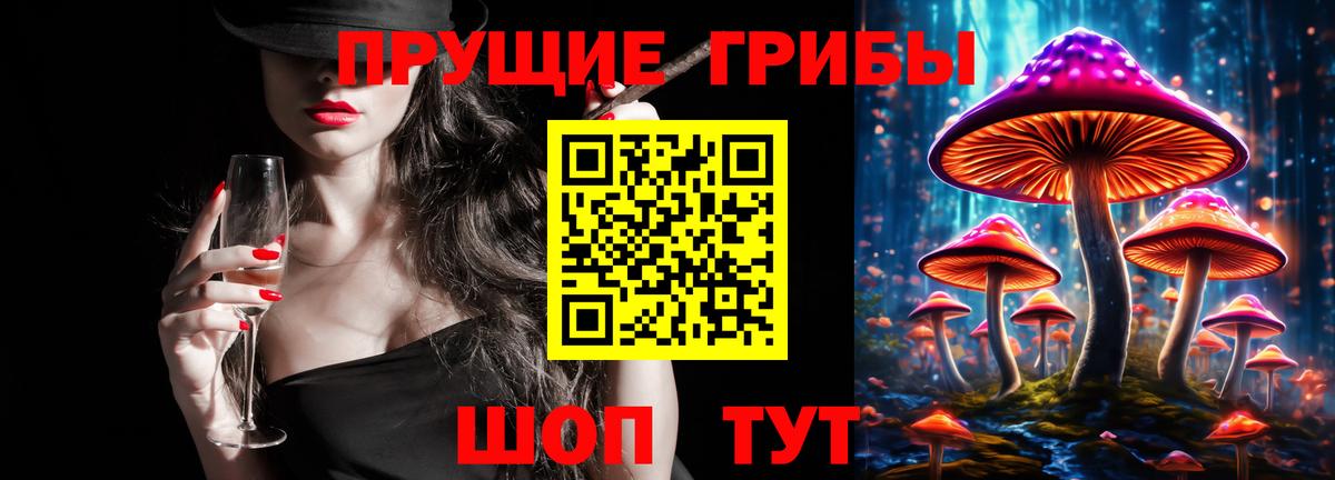 Псилоцибиновые грибы мицелий Лабинск