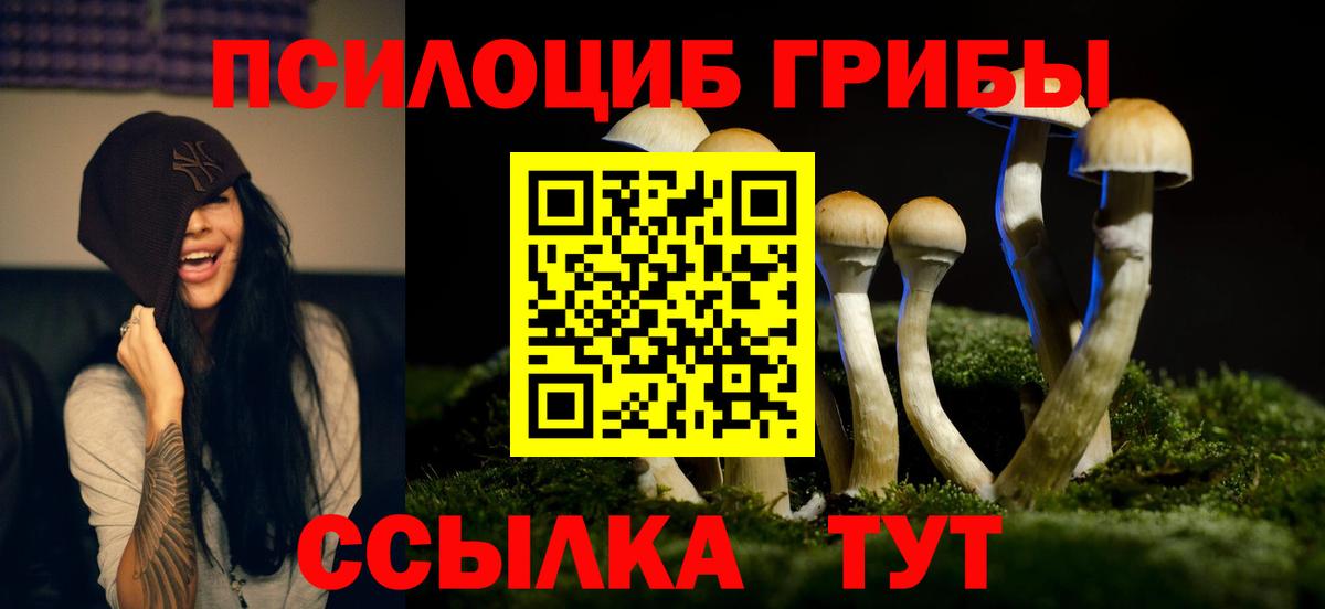 Лабинск  Псилоцибиновые грибы прущие грибы  Вход с VPN 
